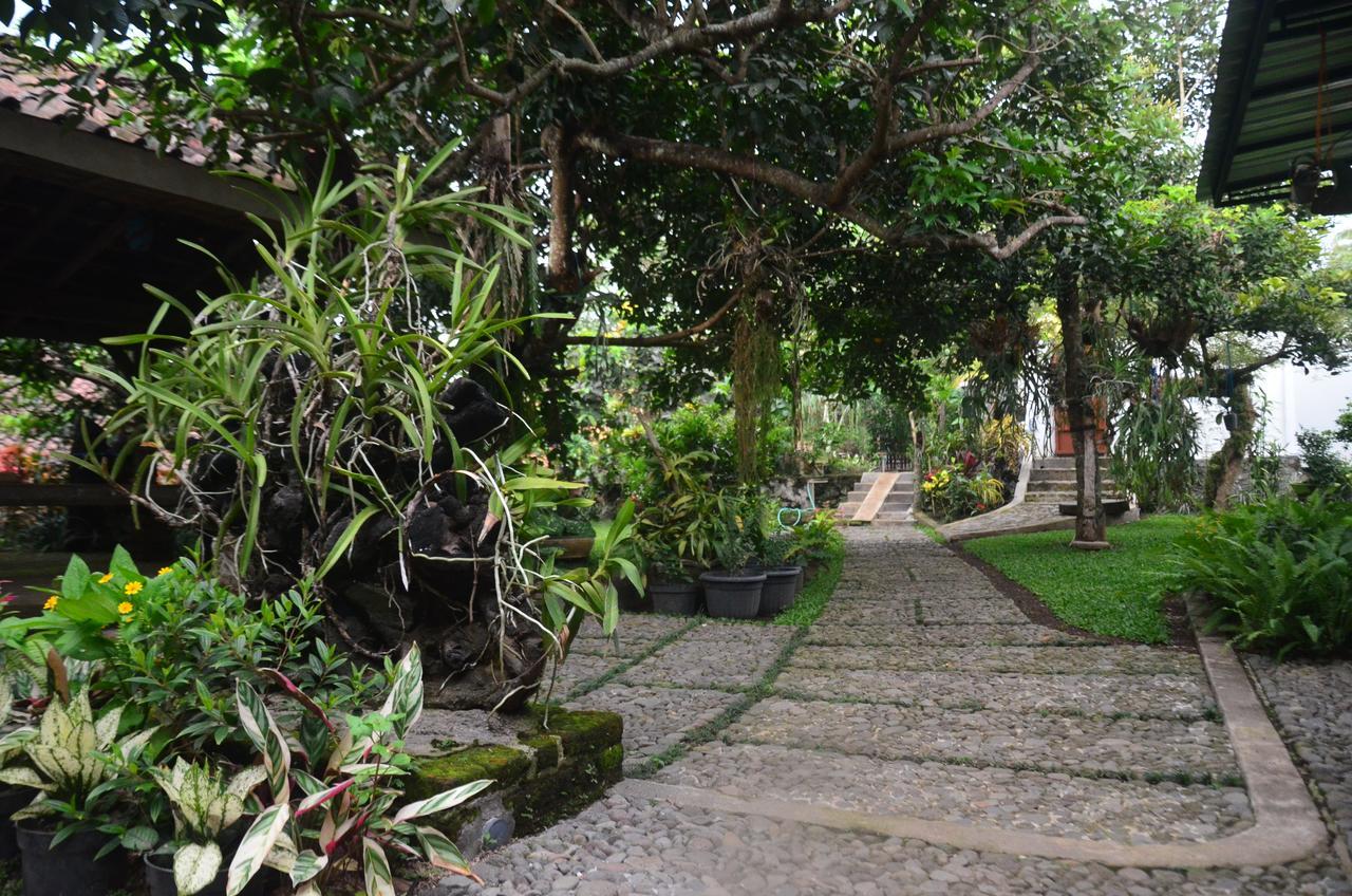 Banyu Homestay Banyuwangi  Dış mekan fotoğraf