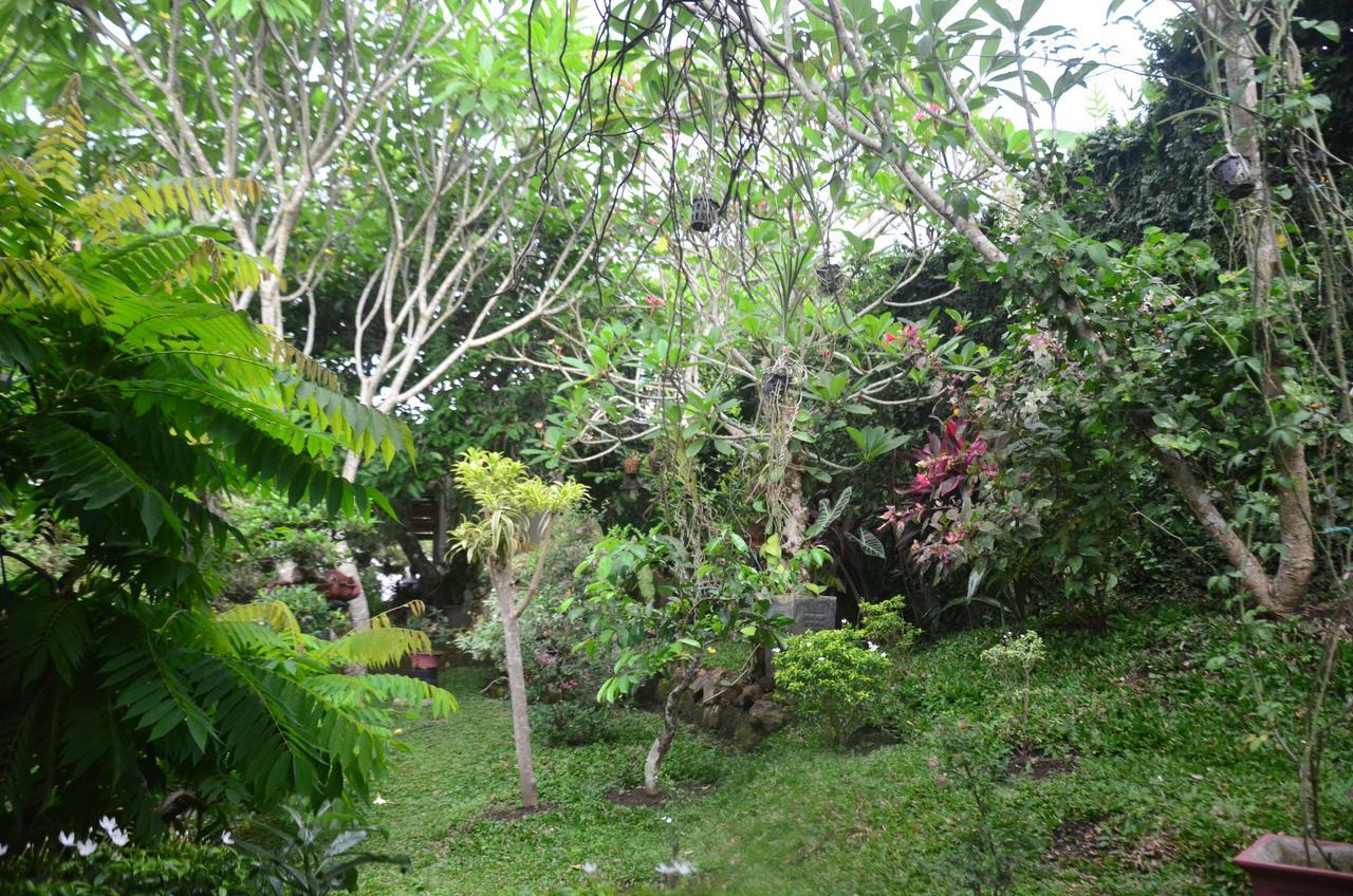 Banyu Homestay Banyuwangi  Dış mekan fotoğraf
