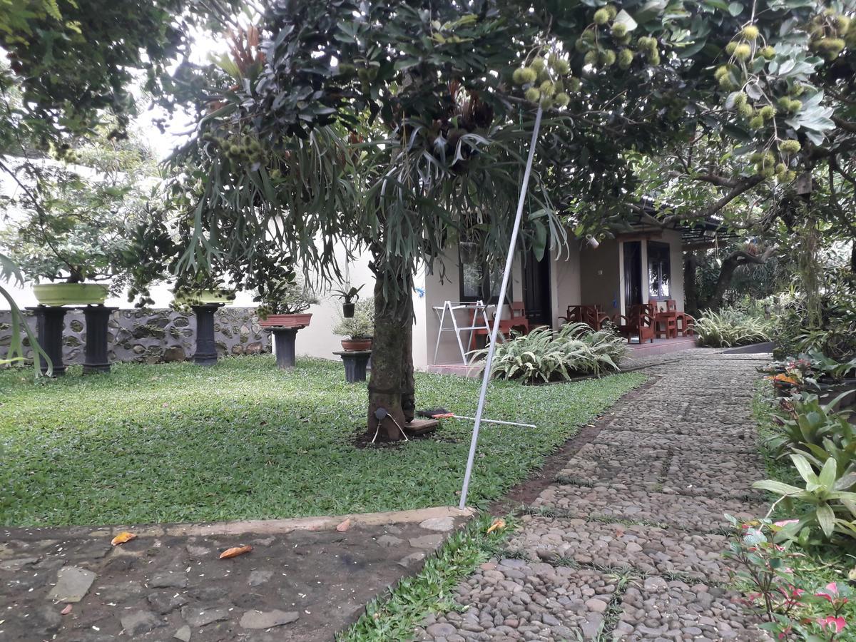 Banyu Homestay Banyuwangi  Dış mekan fotoğraf