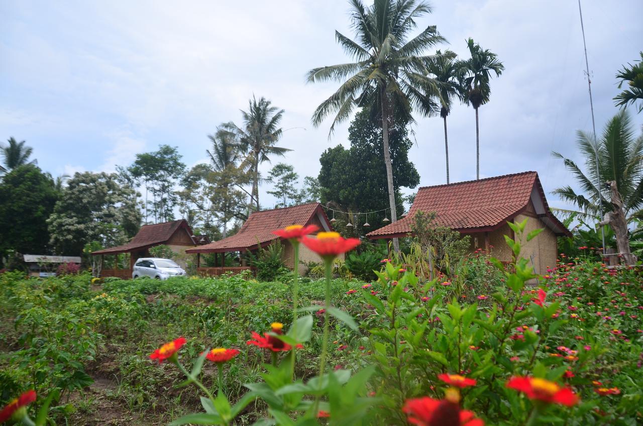 Banyu Homestay Banyuwangi  Dış mekan fotoğraf