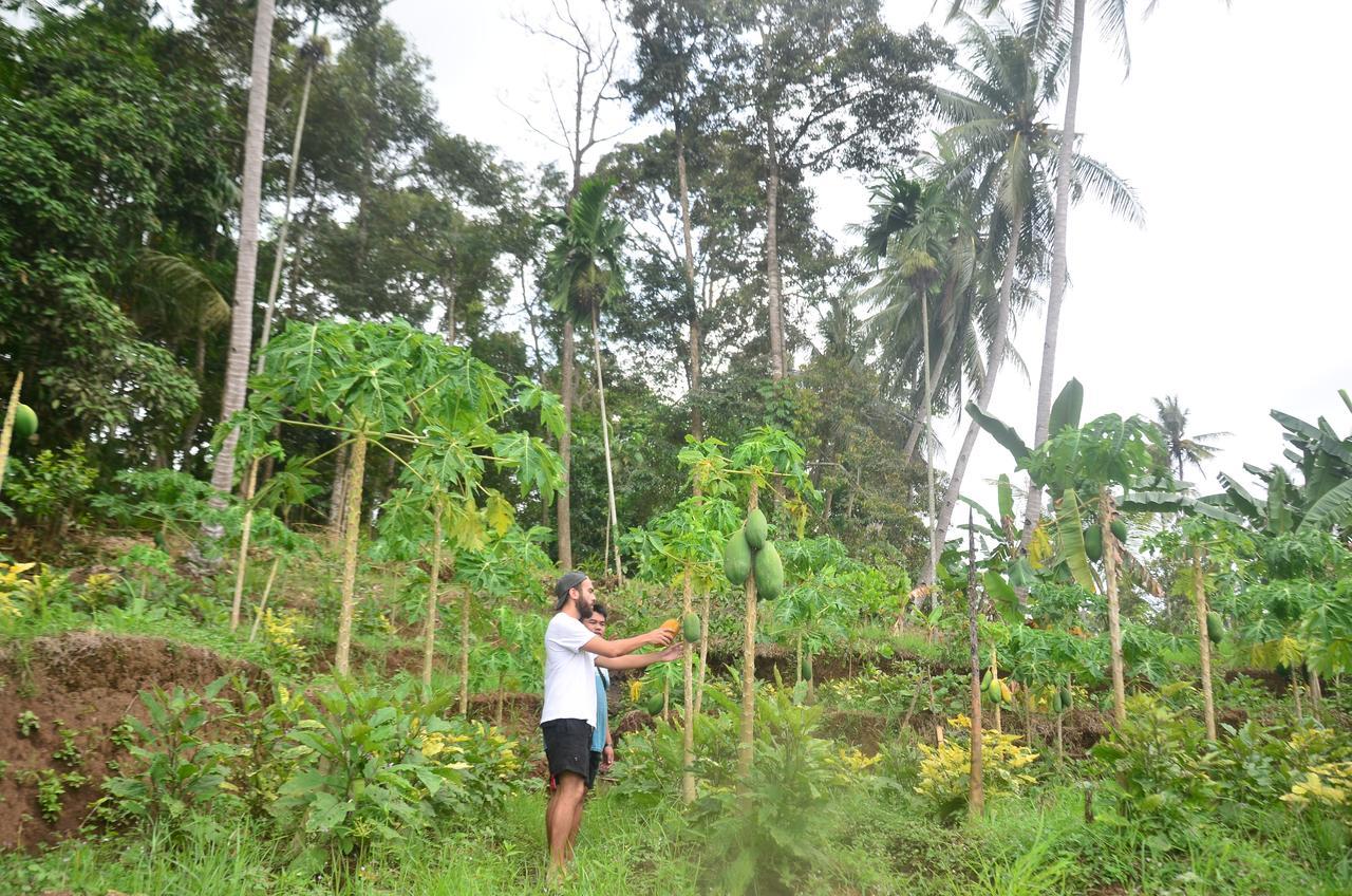 Banyu Homestay Banyuwangi  Dış mekan fotoğraf