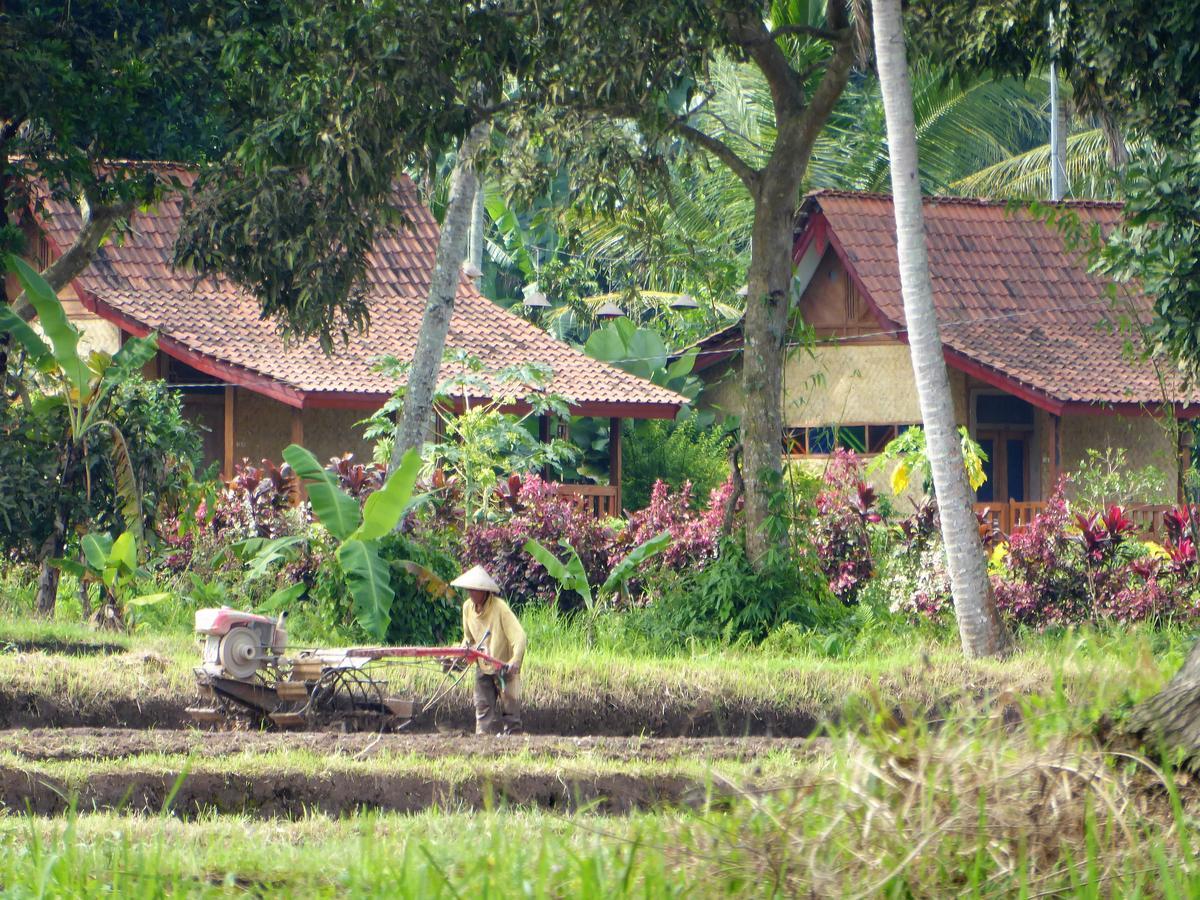 Banyu Homestay Banyuwangi  Dış mekan fotoğraf