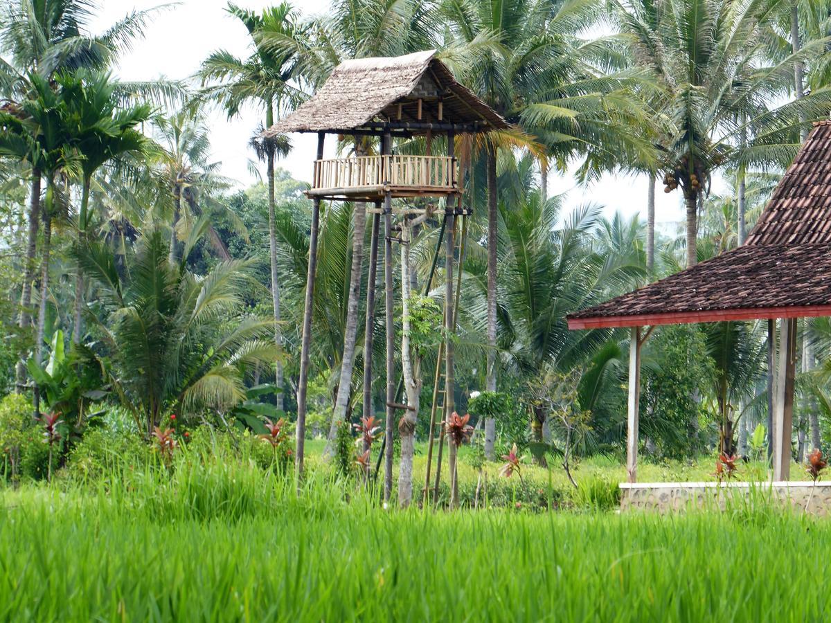 Banyu Homestay Banyuwangi  Dış mekan fotoğraf